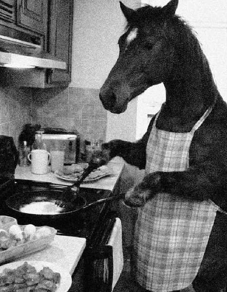 Un caballo con mandil de cuadros cocinando en la estufa